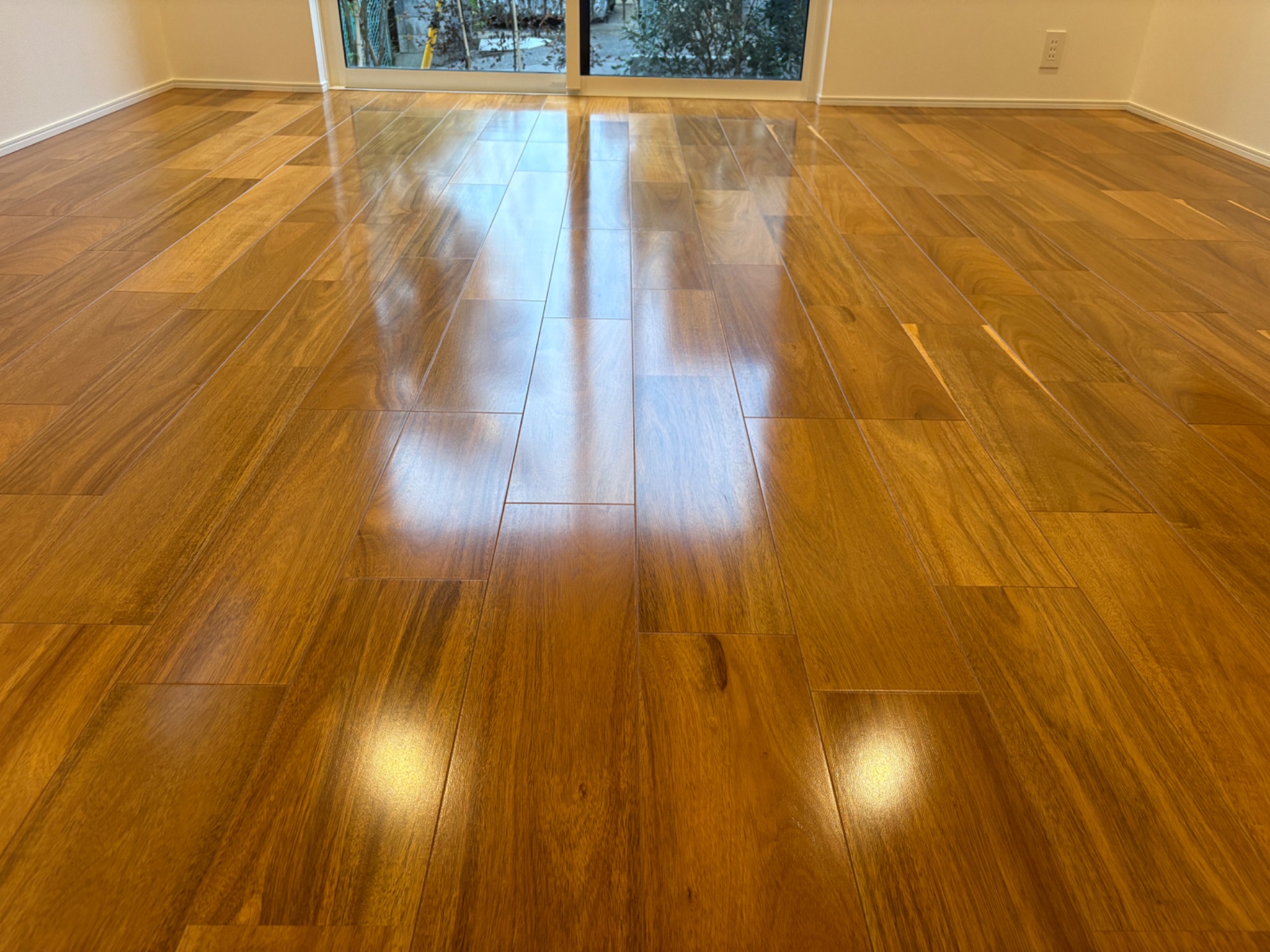 ガラスコーティングの施工事例