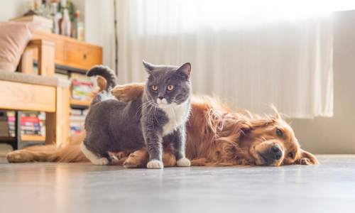 ライフスタイルに合わせて選ぶ
